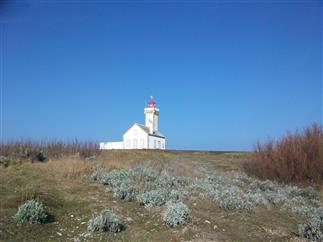 Camping Belle Ile Trion Guen